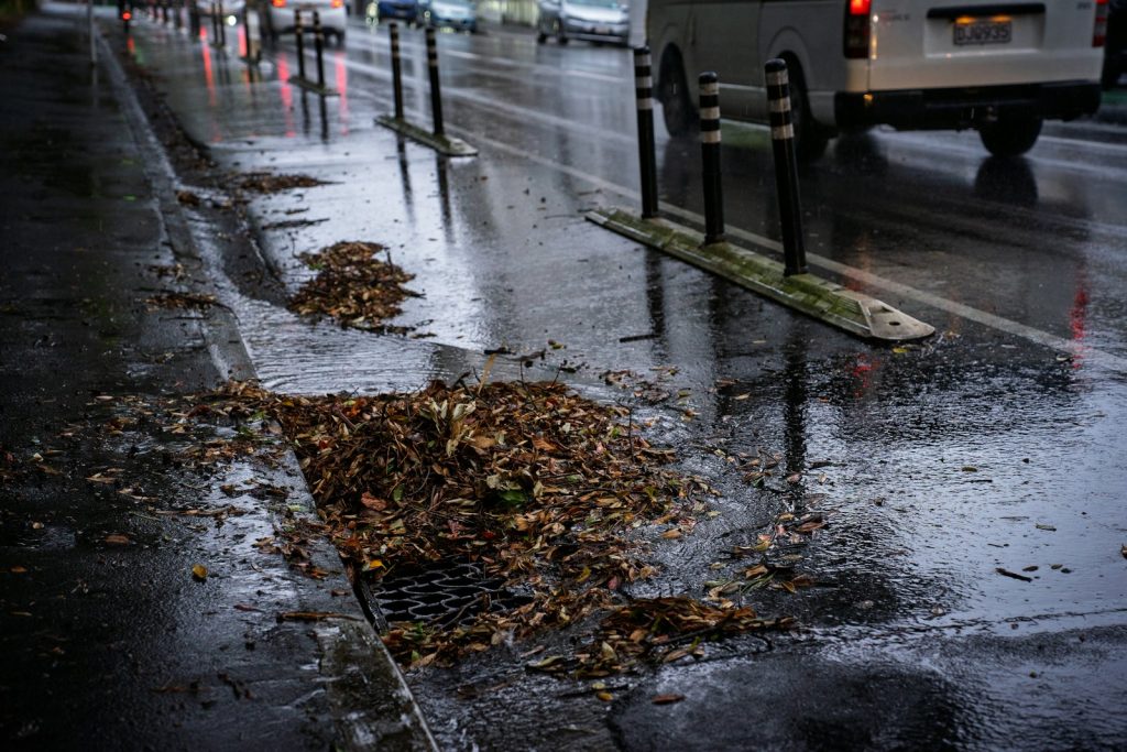 Storm drain clogged with wet leaves
